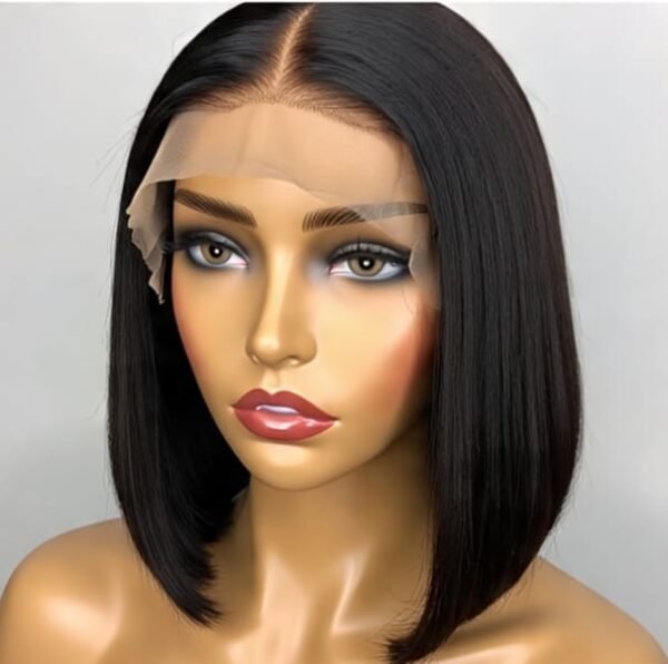 Regalis 100% Human Hair - Black Front Lace Straight Hair Wig