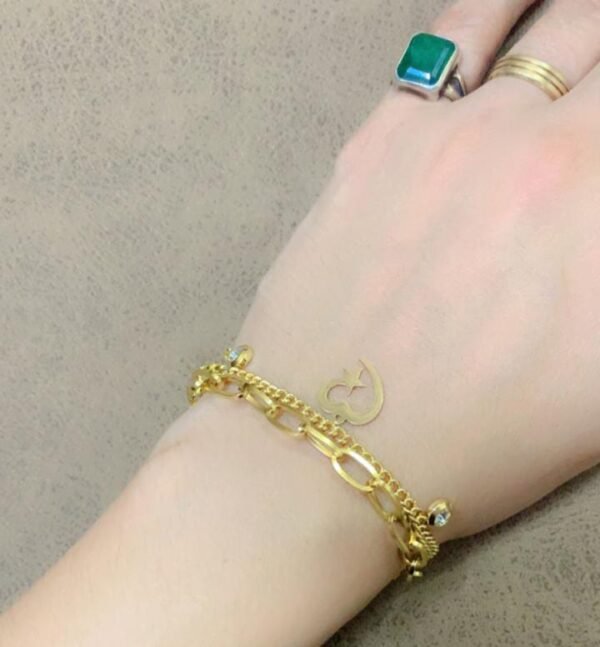 Regalis Premium Stainless Steel Lucky Charm Bracelet