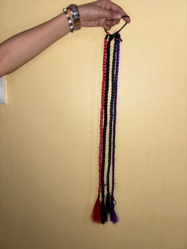 Regalis Colourful Hair Braid and Bun